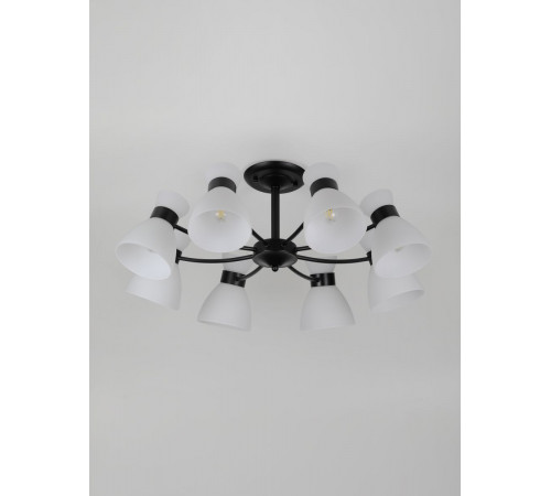 Люстра на штанге Rivoli Aemilia 9185-308 Б0069950