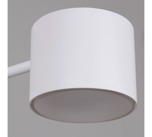 Люстра на штанге Reluce 47206-0.3-06WT