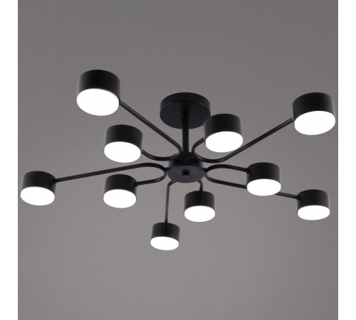 Люстра на штанге Reluce 03708-0.3-10 BK GX53