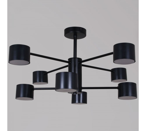 Люстра на штанге Reluce 47206-0.3-08BK