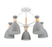 Потолочная люстра Freya Delia FR5033CL-05W