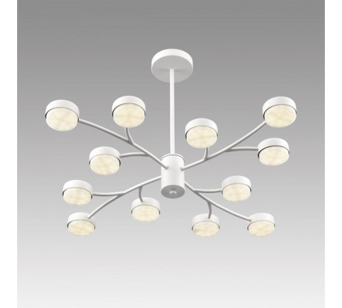 Люстра на штанге Lumion Comfi Torina 8265/12