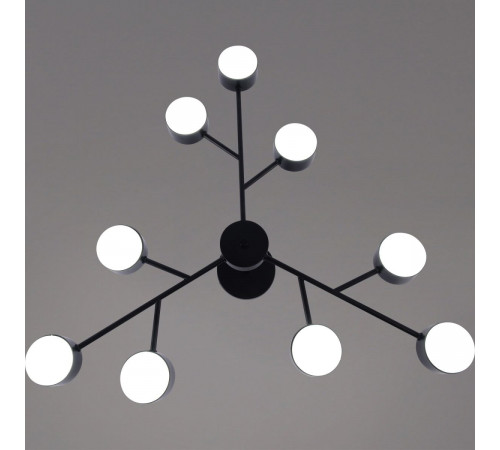 Люстра на штанге Reluce 03726-0.3-09 BK GX53