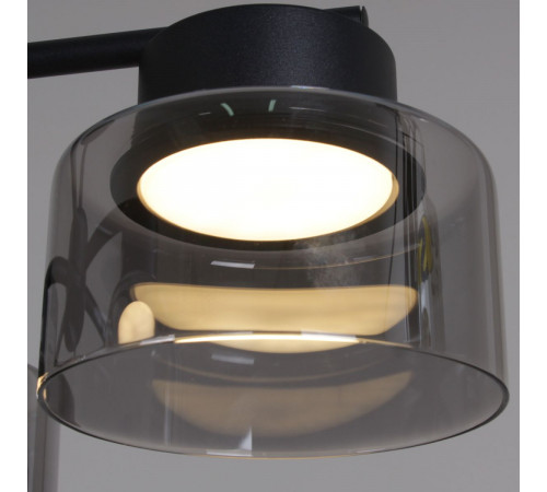 Люстра на штанге Reluce 47010-0.3-08 BK