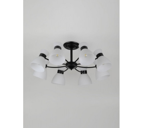 Люстра на штанге Rivoli Aemilia 9185-308 Б0069950