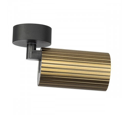 Накладной спот Citilux Axel CL512213R