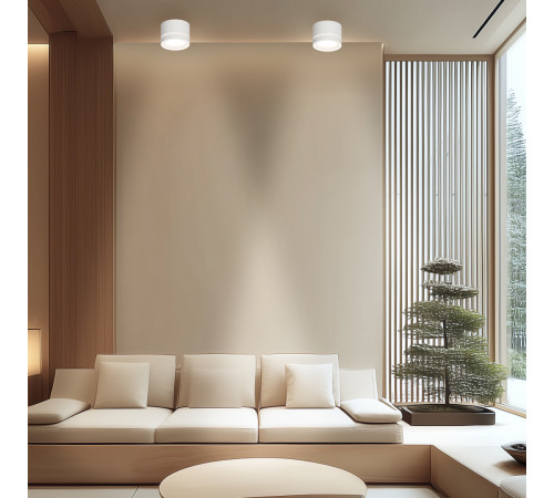 Накладной светильник Apeyron 16-120