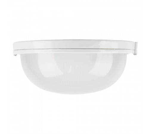 Накладной светильник Feron НБП 03-100-001 53173