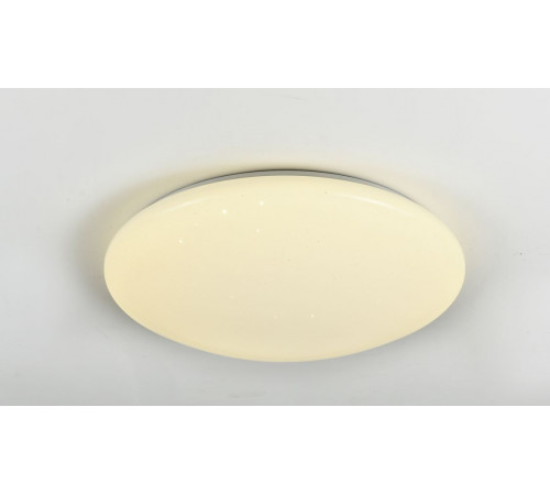 Потолочный светодиодный светильник F-Promo Luna 2319-5C