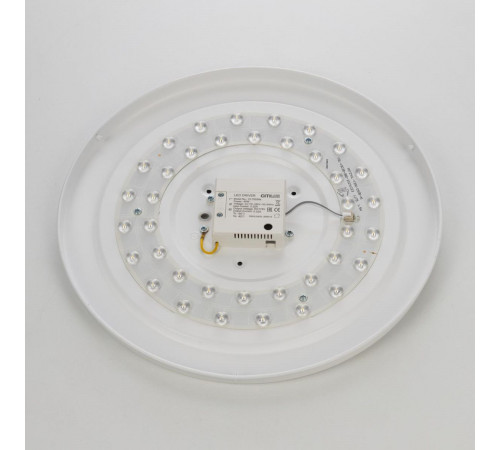 Накладной светильник Citilux Bart CL755391