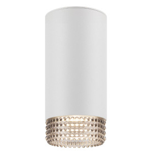 Накладной светильник Эра OL40 WH/GR Б0058478