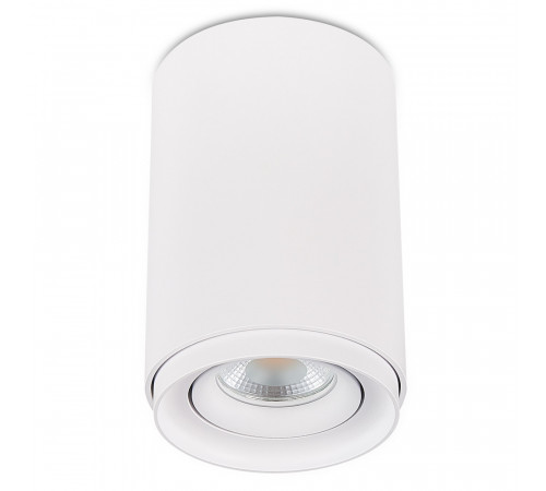 Накладной светильник Simple Story 2065-1CLW