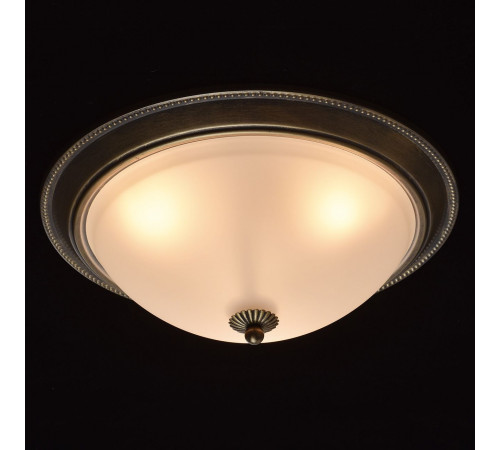 Потолочный светильник MW-Light Ариадна 450015503