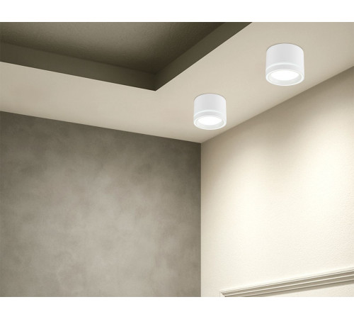 Накладной светильник Ambrella Light Techno Spot Standard Tech TU5530 Накладной светильник Ambrella Light Techno Spot Standard Tech TU5530