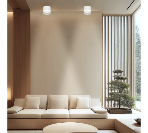 Накладной светильник Apeyron 16-124