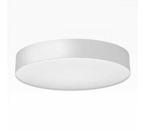 Накладной светильник Citilux Bart CL755390