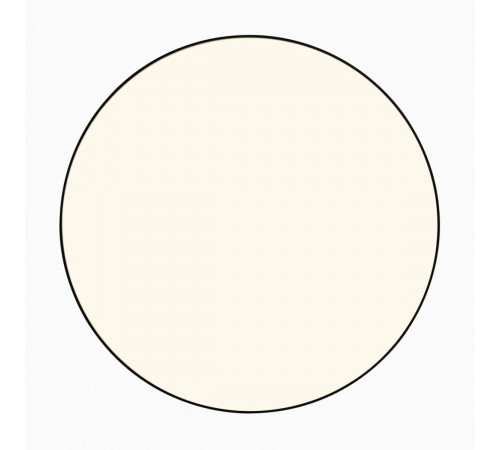 Накладной светильник Citilux Bart CL755391