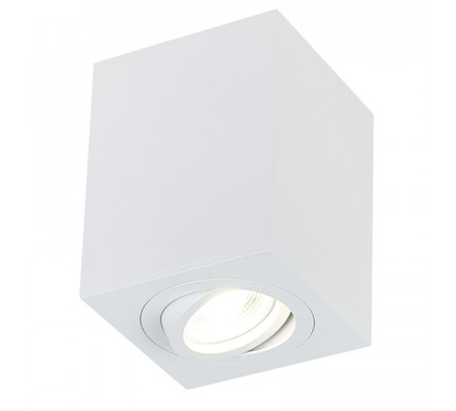 Накладной светильник Simple Story 2038-1CLW