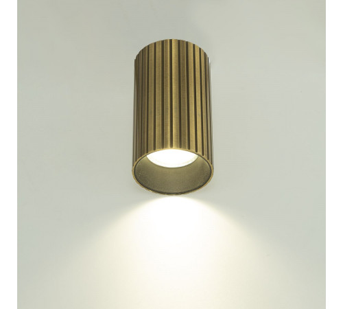 Накладной светильник Citilux Axel CL512113R