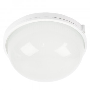 Накладной светильник Feron НБП 03-100-001 53173