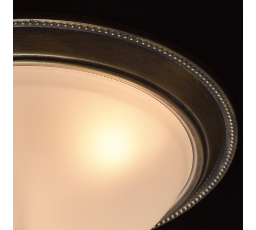 Потолочный светильник MW-Light Ариадна 450015503