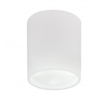 Накладной светильник Lightstar Solido E27 216626