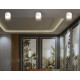 Накладной светильник Ambrella Light Techno spot GX Standard tech TN5304