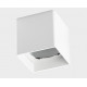 Накладной светильник Italline FASHION FX1 white + FASHION FXR gold