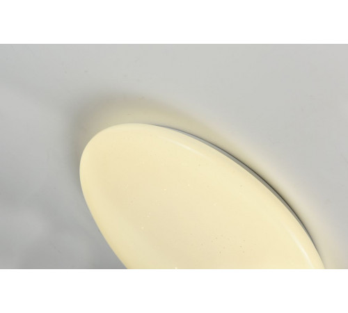 Потолочный светодиодный светильник F-Promo Luna 2319-5C