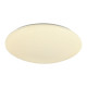 Потолочный светодиодный светильник F-Promo Luna 2319-5C
