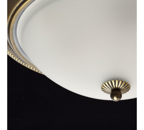 Потолочный светильник MW-Light Ариадна 450015503