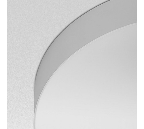 Накладной светильник Citilux Bart CL755390