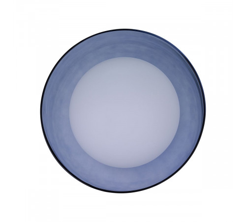 Настенно-потолочный светильник 33 Идеи WLL105.17BL-M33LB