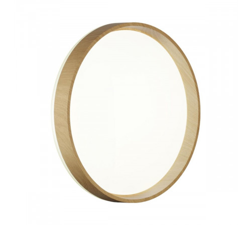 Настенно-потолочный светильник Sonex Basica Gari Wood 7684/DLN