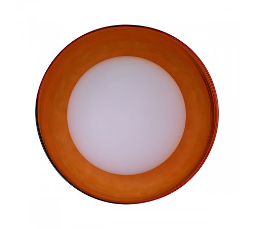 Настенно-потолочный светильник 33 Идеи WLL105.17BL-M33OR