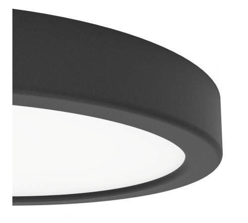 Настенно-потолочный светильник Eglo Fueva 6 901325