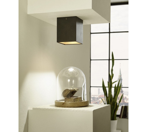 Потолочный светильник Eglo Polasso 94497