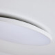 Настенно-потолочный светильник Lightstar Arco Eco 225720