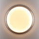 Настенно-потолочный светильник Sonex Color Portman 7777/DLN