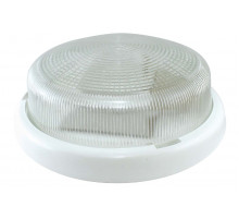 Настенно-потолочный светильник TDM Electric Рондо НПП 03-100-015.01 SQ0311-0008