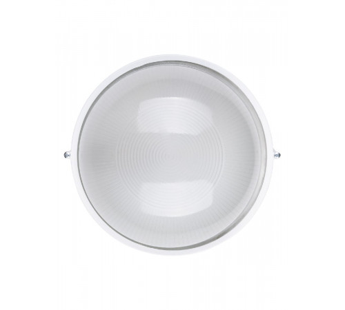 Настенно-потолочный светильник TDM Electric НПБ1101 SQ0303-0024 Настенно-потолочный светильник TDM Electric НПБ1101 SQ0303-0024