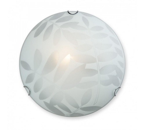 Настенно-потолочный светильник Vitaluce V6423/1A