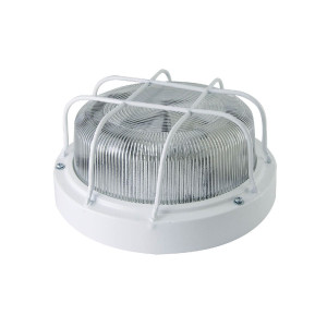 Настенно-потолочный светильник TDM Electric НПП 03-100-103 SQ0311-0020