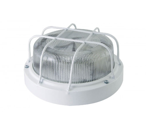 Настенно-потолочный светильник TDM Electric НПП 03-100-103 SQ0311-0020