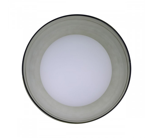 Настенно-потолочный светильник 33 Идеи WLL105.17BL-M33GC