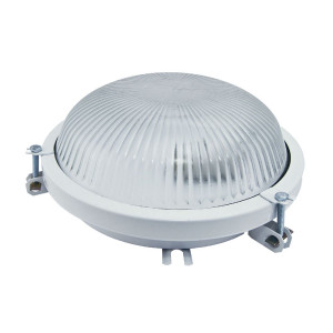 Настенно-потолочный светильник TDM Electric Рыбий глаз НПП 03-100-020.01 SQ0311-0006