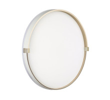 Настенно-потолочный светильник Sonex Pale Olidi White 7646/ELN