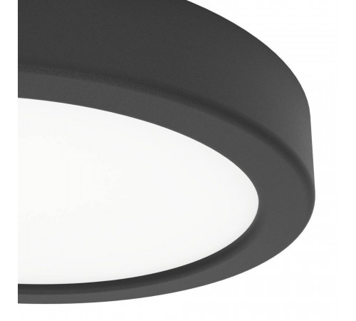 Настенно-потолочный светильник Eglo Fueva 6 901324