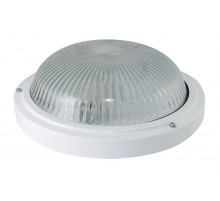 Настенно-потолочный светильник TDM Electric НПП 03-100-002 SQ0311-0017