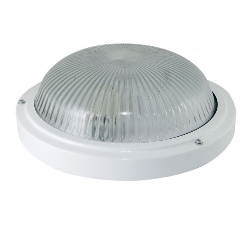 Настенно-потолочный светильник TDM Electric НПП 03-100-002 SQ0311-0017